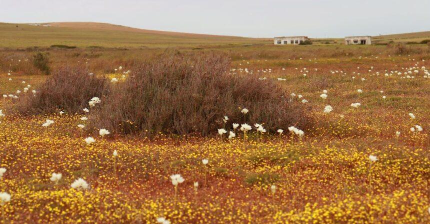 découvrez les meilleures randonnées à travers des paysages époustouflants. que vous soyez novice ou randonneur expérimenté, trouvez des sentiers adaptés à tous les niveaux et plongez dans la nature.
