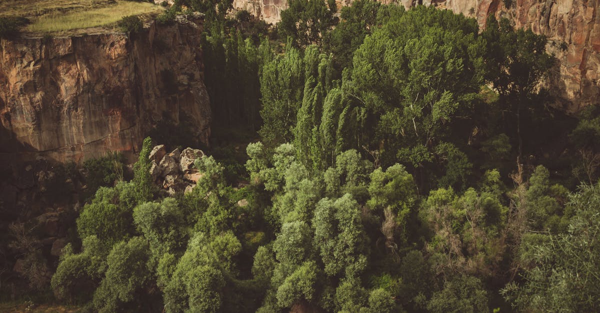 découvrez la vallée d'ihlara, un véritable trésor naturel en turquie, célèbre pour ses paysages spectaculaires, ses formations rocheuses uniques et ses églises troglodytes. partez pour une randonnée inoubliable au cœur de cette gorge verdoyante, explorez son riche patrimoine historique et profitez d'une tranquillité absolue.