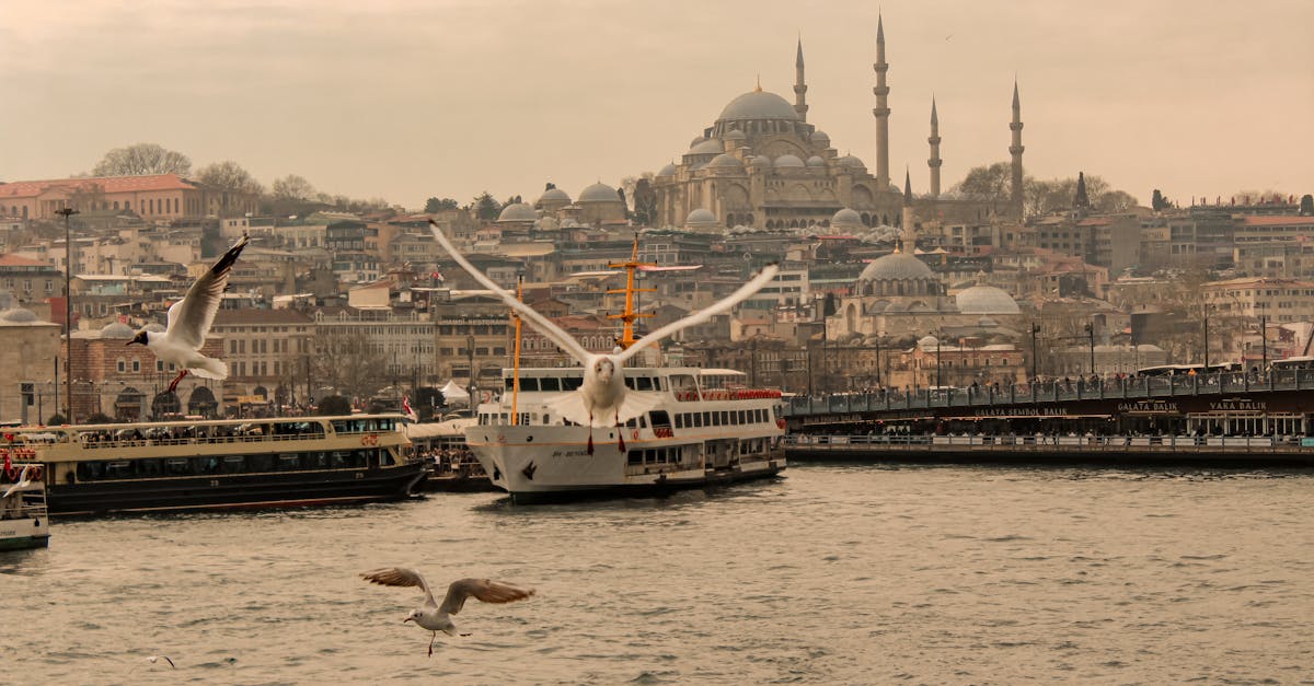 découvrez l'expérience unique des ferries d'istanbul, connectant les rives historiques de la ville. admirez des panoramas à couper le souffle sur le bosphore tout en naviguant entre europe et asie. évadez-vous des transports en commun et explorez les charmantes îles et rivages d'istanbul à bord de ces navettes pittoresques.