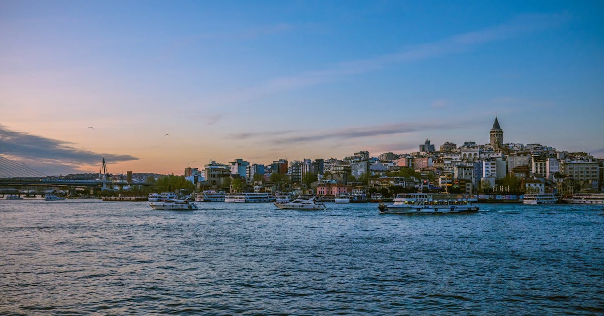 découvrez les ferries d'istanbul, un moyen unique et pittoresque de naviguer sur le bosphore. explorez la beauté de cette ville historique, profitez de vues imprenables sur les monuments emblématiques et vivez une expérience inoubliable à bord des célèbres bateaux de ferry d'istanbul.
