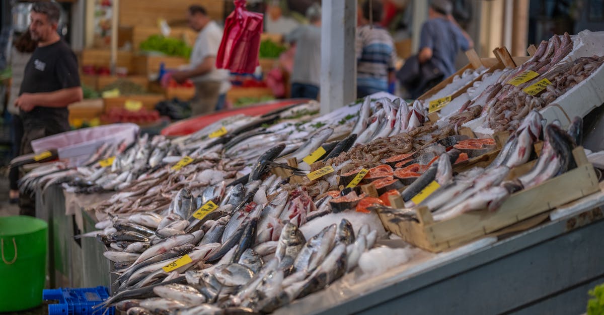 découvrez le bazar d'izmir, un lieu vibrant où se mêlent cultures, couleurs et saveurs. flânez parmi les étals animés, dénichez des trésors artisanaux, savourez des délices locaux et vivez une immersion authentique dans la vie turque.