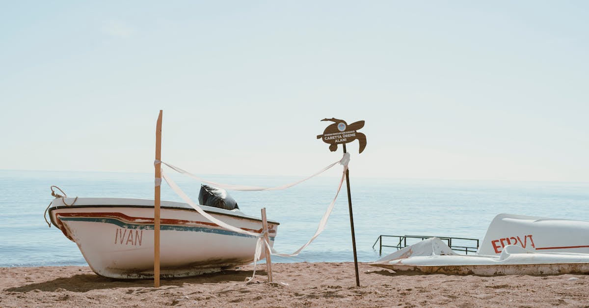 découvrez mersin, une belle ville côtière de turquie, connue pour ses plages ensoleillées, son riche patrimoine culturel et ses spécialités culinaires locales. explorez ses sites historiques, profitez de ses paysages naturels et laissez-vous séduire par l'hospitalité turque.