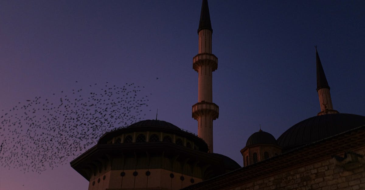découvrez la mosquée rüstem pacha, un chef-d'œuvre de l'architecture ottomane situé à istanbul. admirez ses superbes mosaïques de faïence et son ambiance paisible, révélant l'héritage culturel vibrant de la turquie.