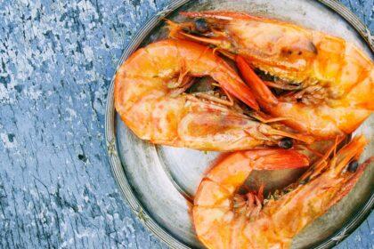 découvrez un monde de saveurs marines avec nos délicieuses recettes de fruits de mer. des plats raffinés à base de poisson frais, crustacés et mollusques, parfaits pour les amateurs de gastronomie. explorez nos conseils de préparation et de cuisson pour savourer le meilleur de la mer.