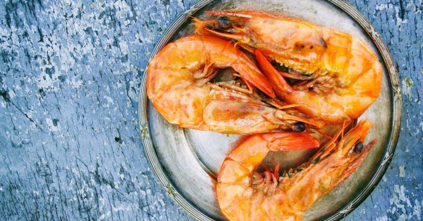 découvrez un monde de saveurs marines avec nos délicieuses recettes de fruits de mer. des plats raffinés à base de poisson frais, crustacés et mollusques, parfaits pour les amateurs de gastronomie. explorez nos conseils de préparation et de cuisson pour savourer le meilleur de la mer.