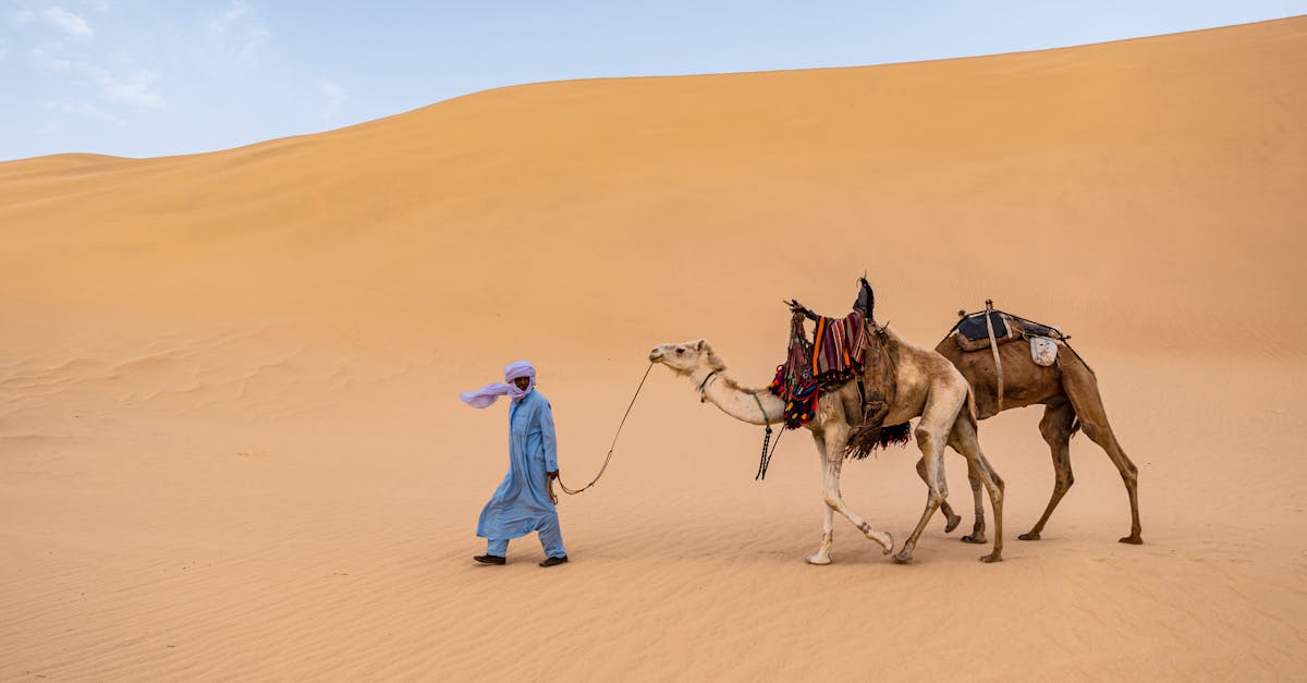 découvrez la fascinante histoire de la route de la soie, une ancienne voie commerciale qui a connecté l'est et l'ouest, facilitant les échanges culturels, économiques et artistiques. plongez dans cette aventure historique à travers des paysages époustouflants et des civilisations riches en diversité.