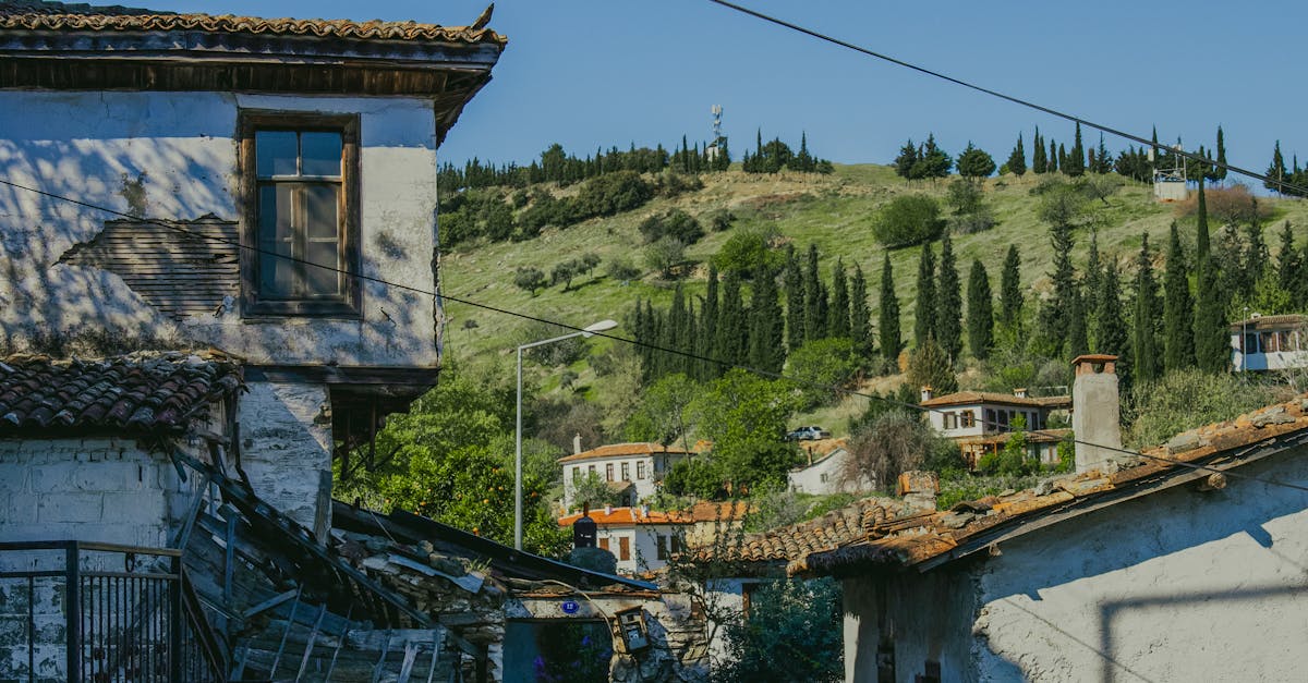découvrez şirince, un charmant village turc aux maisons colorées et à l'architecture traditionnelle. niché dans les collines, il offre des paysages pittoresques, des ruelles pavées et une délicieuse cuisine locale. parfait pour une escapade détente, explorez son riche héritage historique et savourez les célèbres vins de fruits.