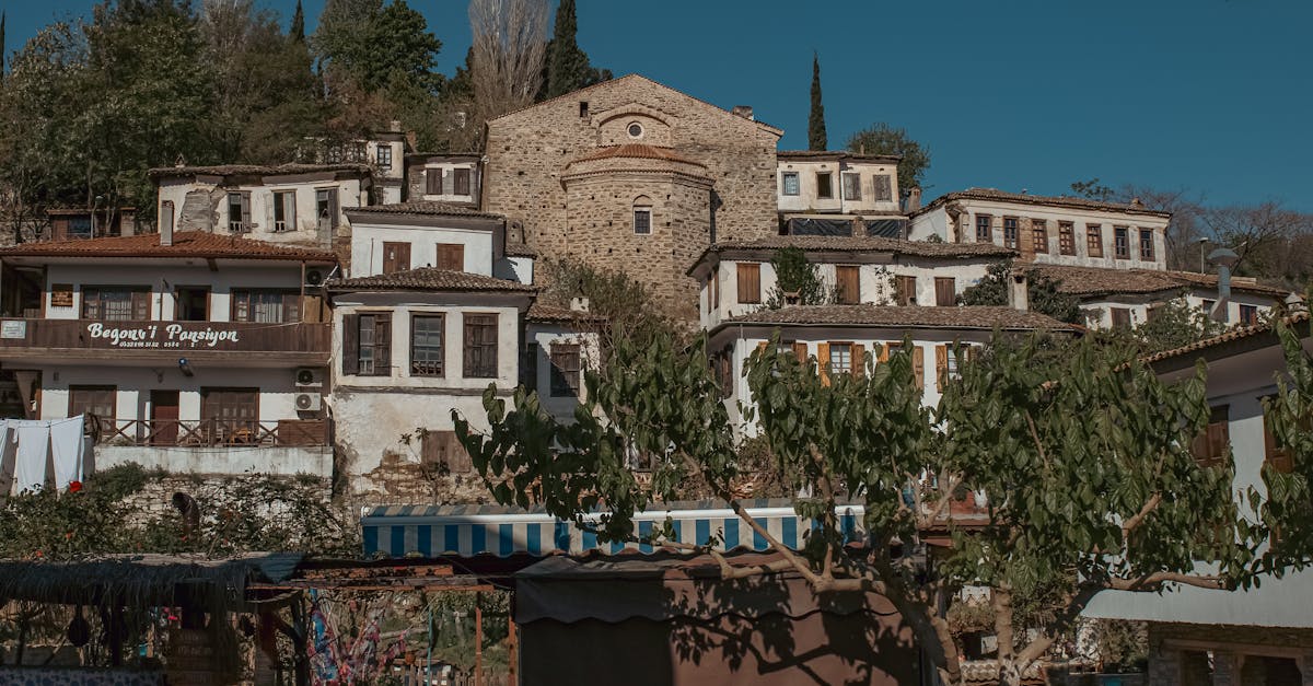 découvrez şirince, un charmant village turc célèbre pour ses maisons en pierre, ses ruelles pittoresques et ses vins locaux. idéal pour une escapade culturelle, explorez son riche patrimoine, ses paysages magnifiques et dégustez des délices traditionnels dans un cadre authentique.