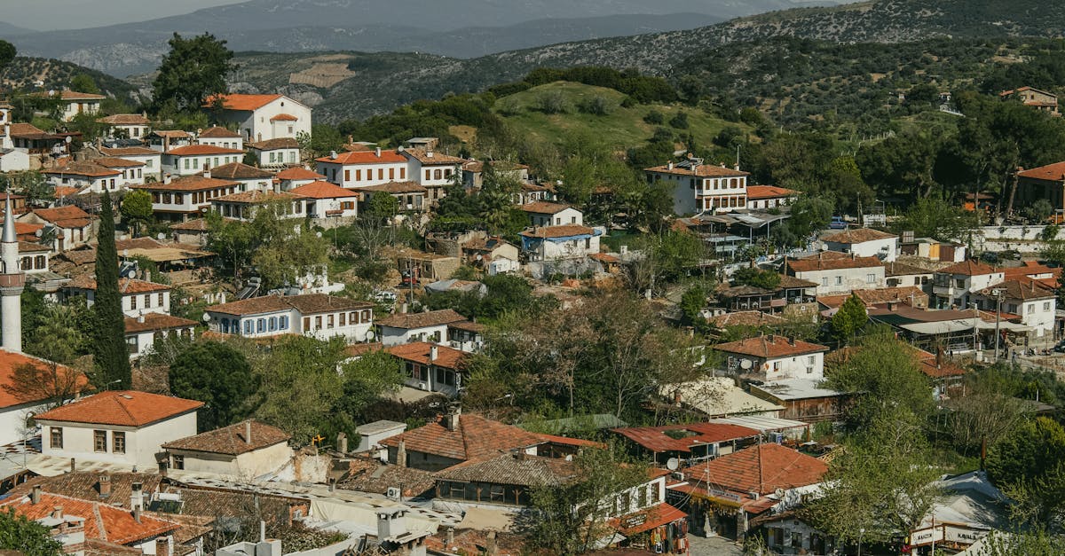 découvrez şirince, un charmant village turc célèbre pour ses maisons historiques, sa viniculture artisanale et ses paysages pittoresques. plongez dans l'authenticité de la culture locale et savourez des délices culinaires tout en profitant d'une atmosphère paisible.