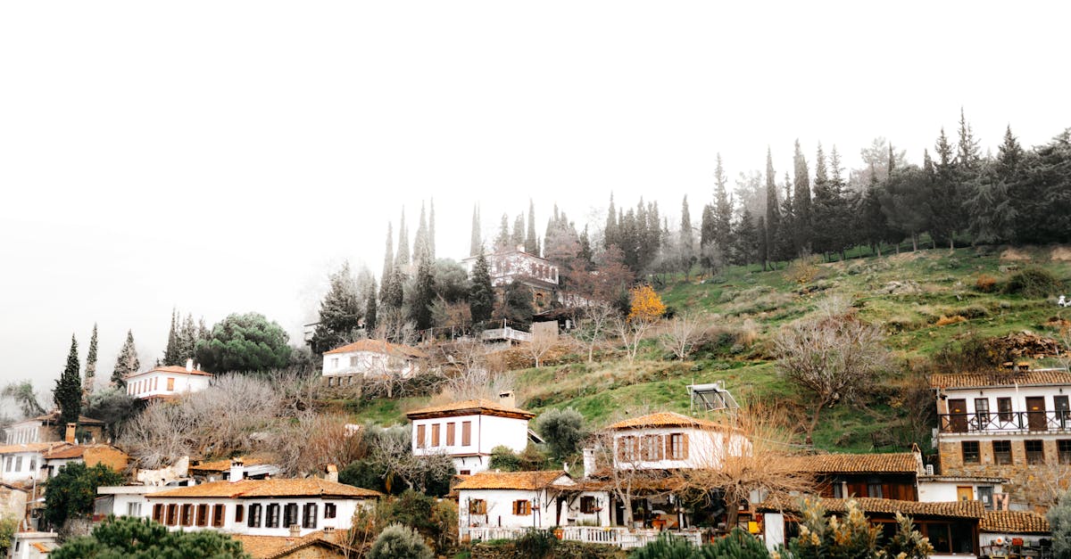 découvrez sirince, un charmant village turc réputé pour ses maisons traditionnelles, ses vignobles et son ambiance authentique. explorez son histoire fascinante, ses ruelles pittoresques et savourez ses délices culinaires dans un cadre idyllique.