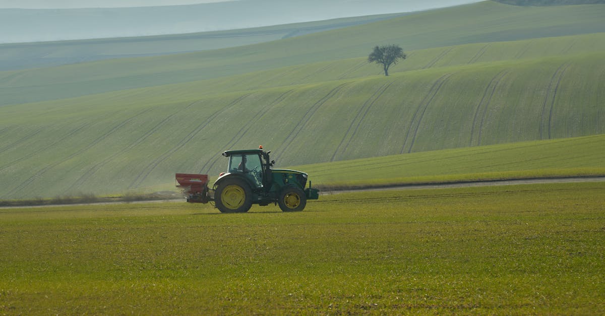 découvrez la thrace, une région riche en histoire et en culture, située à la croisée des chemins entre l'europe et l'asie. explorez ses paysages diversifiés, ses traditions fascinantes et son patrimoine unique qui témoignent de siècles d'influences variées.