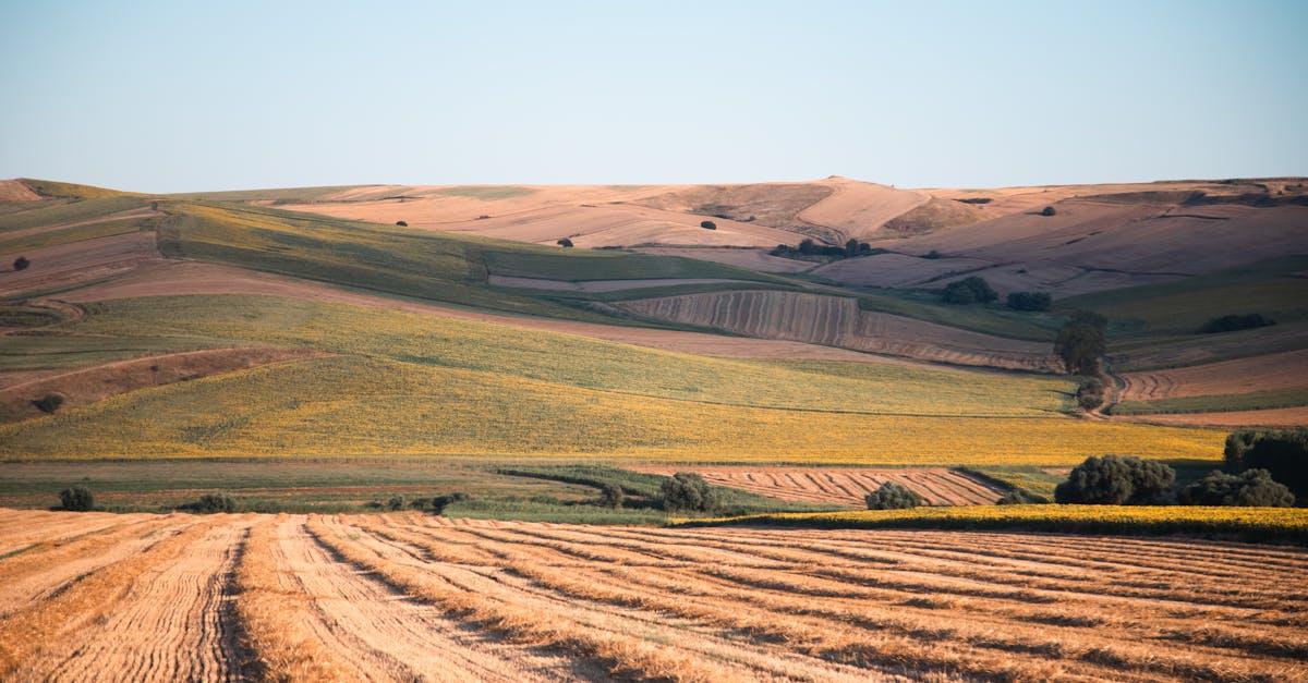 découvrez la thrace, région riche en histoire et culture, située entre la mer égée et les balkans. explorez ses paysages variés, son patrimoine architectural unique et plongez dans les traditions et la gastronomie locales.