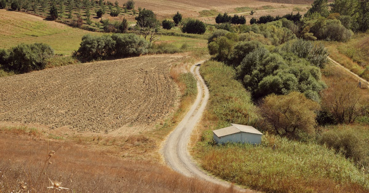explorez la thrace, région historique au carrefour des cultures, riche en histoire, paysages magnifiques et traditions fascinantes. découvrez les trésors cachés et les sites emblématiques qui font de la thrace une destination incontournable.
