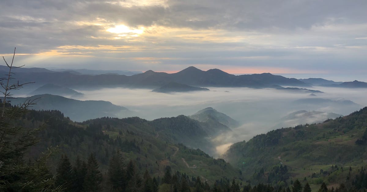 découvrez trabzon, une ville turque fascinante située sur la côte de la mer noire, réputée pour ses paysages époustouflants, son riche patrimoine culturel et sa délicieuse cuisine locale. plongez dans l'histoire, explorez les monastères perchés sur les montagnes et profitez des traditions chaleureuses des habitants.