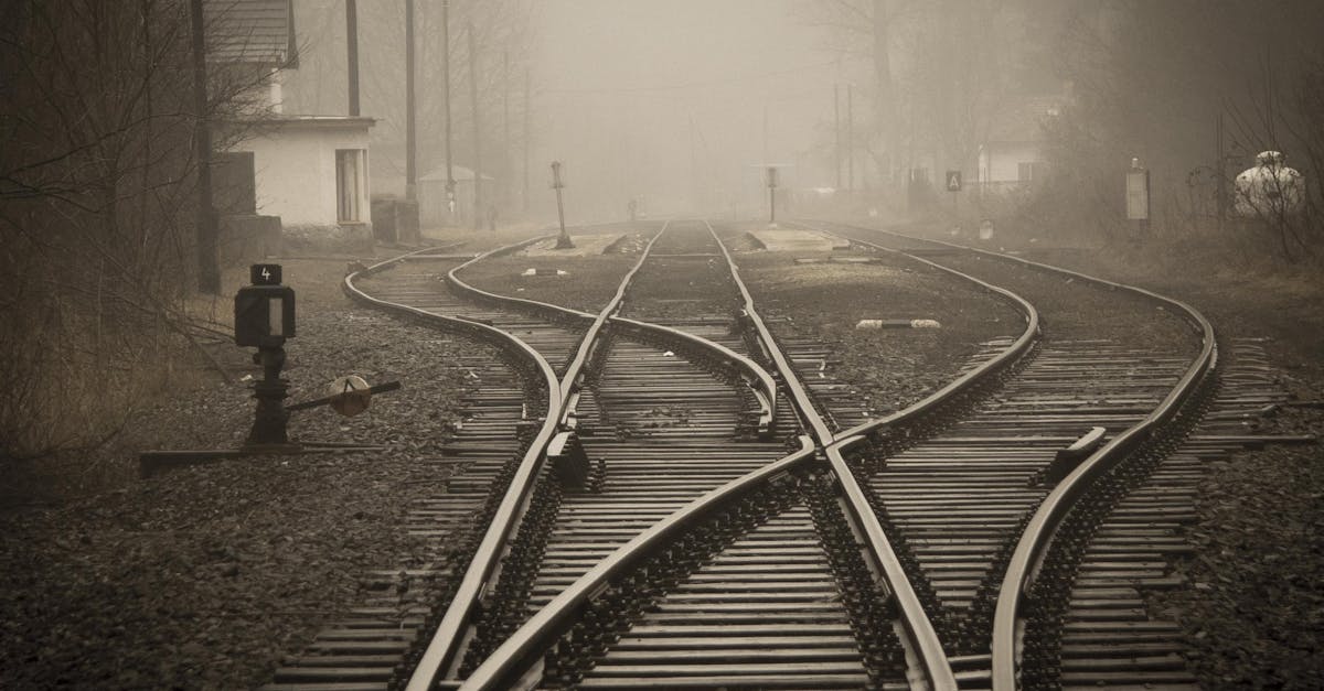 découvrez le monde fascinant des trains, de leur histoire à leur impact sur les transports modernes. explorez les différentes catégories de trains, des trains à grande vitesse aux trains de luxe, et apprenez comment ils façonnent nos voyages au quotidien.