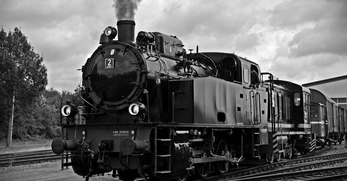 découvrez le monde fascinant des trains, des voyages en voiture à travers des paysages magnifiques aux innovations technologiques qui transforment notre façon de voyager. explorez l'histoire, les types de trains et les meilleures destinations ferroviaires à travers le globe.