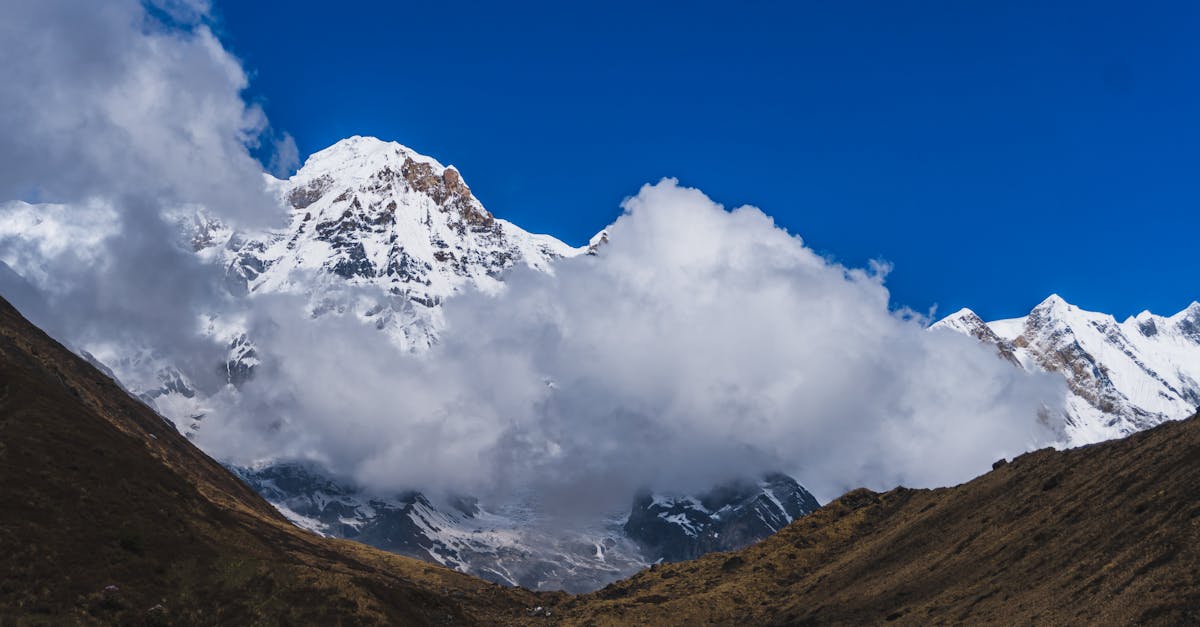 découvrez les meilleures agences de voyage qui vous accompagnent dans l'organisation de vos vacances de rêve. explorez des offres sur mesure, des destinations uniques et des conseils d'experts pour un voyage inoubliable.