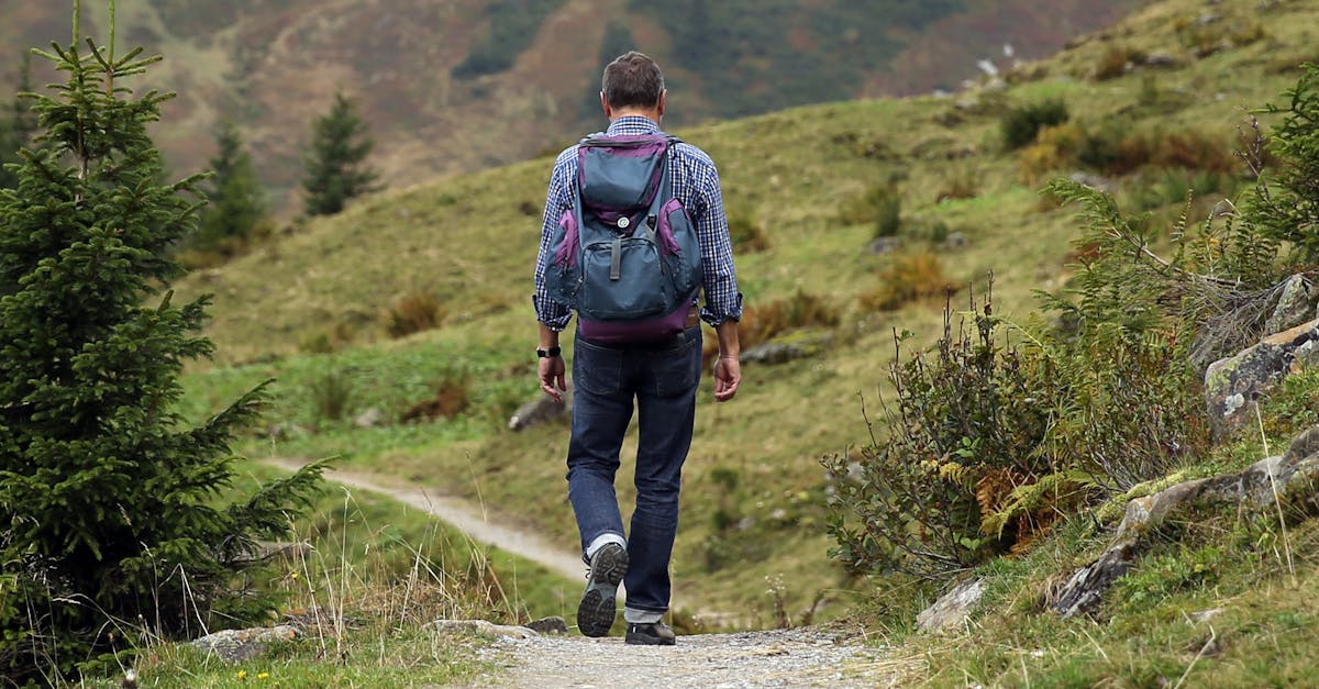 découvrez le monde du trekking : une aventure immersive à travers des paysages époustouflants, des sentiers inexplorés et des expériences inoubliables en pleine nature. que vous soyez débutant ou expert, préparez-vous à embarquer pour une randonnée qui éveille vos sens et nourri votre passion pour l'extérieur.