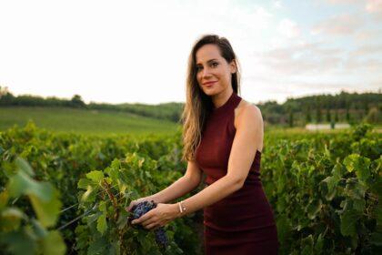 découvrez la richesse des variétés de raisins turcs, un trésor viticole aux saveurs uniques et aux traditions ancestrales. apprenez-en davantage sur ces cépages exceptionnels qui font la renommée des vignobles de la turquie.