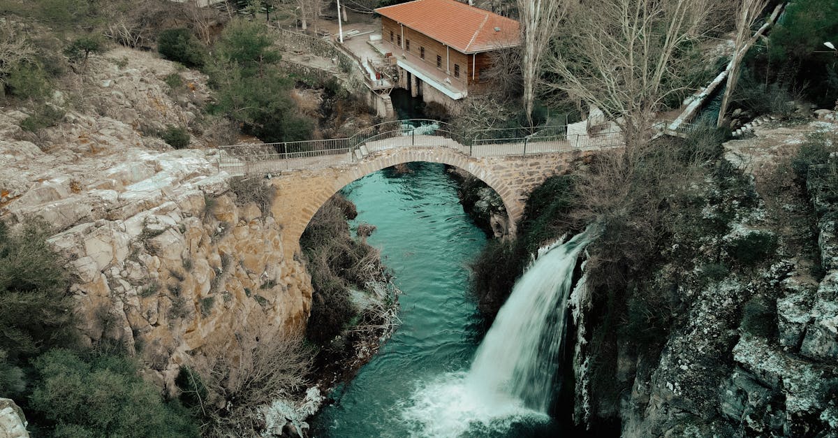 découvrez uşak, une ville turque riche en histoire et en culture, célèbre pour son artisanat textile et ses paysages pittoresques. explorez ses sites historiques, goûtez à sa délicieuse cuisine locale et imprégnez-vous de l'hospitalité chaleureuse de ses habitants.