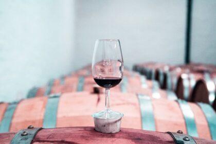 découvrez l'univers fascinant des vignobles avec nos visites de caves. explorez les paysages pittoresques, apprenez les secrets de la vinification et dégustez des crus exquis lors de nos circuits guidés à travers les meilleures wineries. une expérience incontournable pour les amateurs de vin et les curieux!