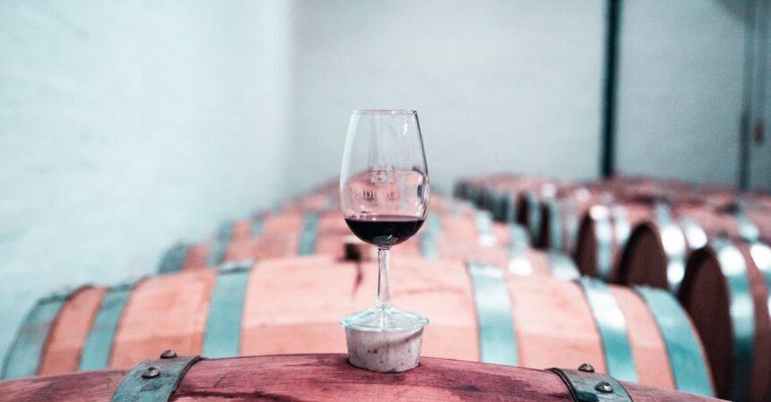 découvrez l'univers fascinant des vignobles avec nos visites de caves. explorez les paysages pittoresques, apprenez les secrets de la vinification et dégustez des crus exquis lors de nos circuits guidés à travers les meilleures wineries. une expérience incontournable pour les amateurs de vin et les curieux!