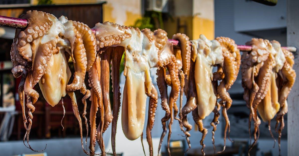 découvrez la cuisine égéenne, un voyage culinaire au cœur des saveurs méditerranéennes. plats savoureux à base d'huiles d'olive, de légumes frais et de produits de la mer, la cuisine égéenne vous invite à savourer des recettes traditionnelles et des ingrédients de qualité pour une expérience gastronomique unique.