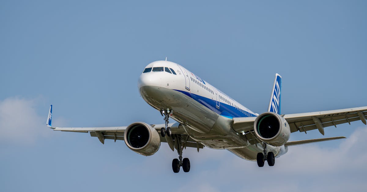 découvrez des solutions de transport aéroportuaire fiables et pratiques pour un voyage sans stress. que ce soit pour des transferts privés, des services de navette ou des options économiques, nous vous offrons un service adapté à vos besoins pour un confort optimal dès votre arrivée.