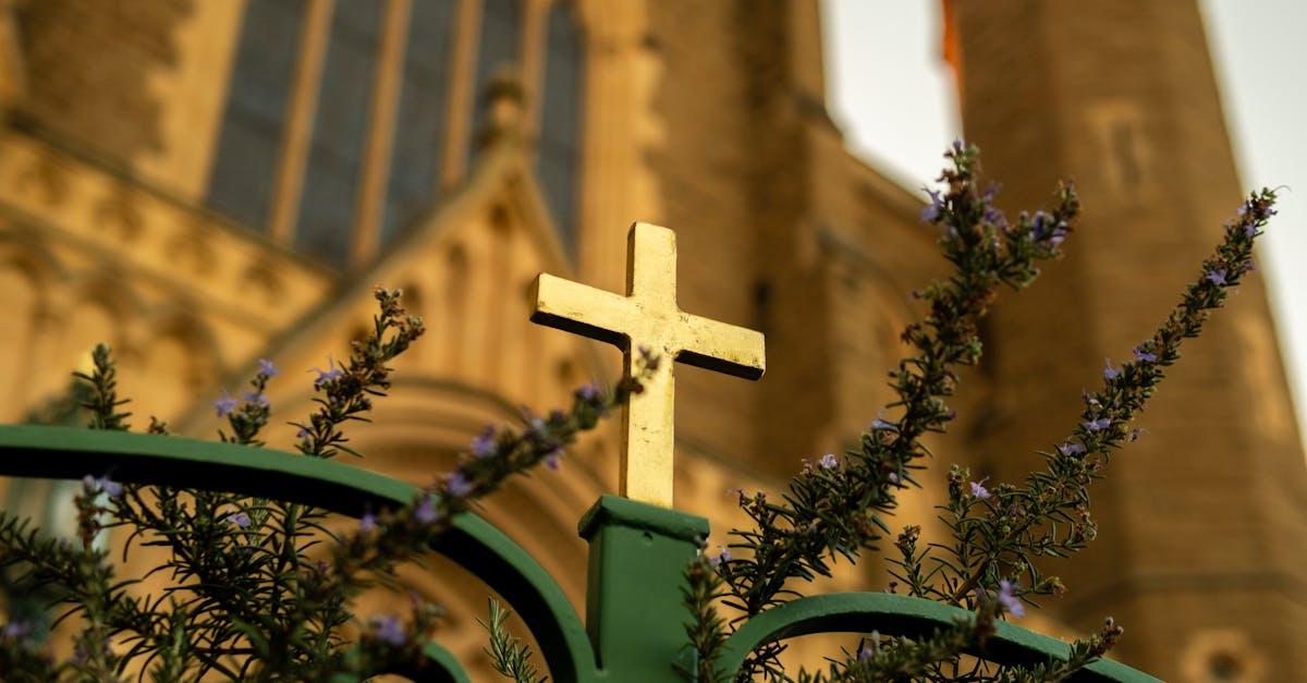 découvrez le courage et le sacrifice des anzac, les forces australiennes et néo-zélandaises qui ont combattu ensemble pendant la première guerre mondiale. plongez dans l'histoire, les batailles emblématiques et l'héritage de ces soldats au service de la lutte pour la liberté.