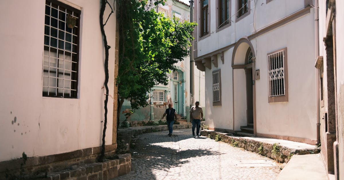 découvrez ayvalik, une charmante ville côtière de turquie réputée pour ses plages magnifiques, son architecture historique et sa délicieuse cuisine locale. explorez ses ruelles pittoresques, savourez des plats à base d'huile d'olive et profitez d'une atmosphère authentique au bord de la mer égée.