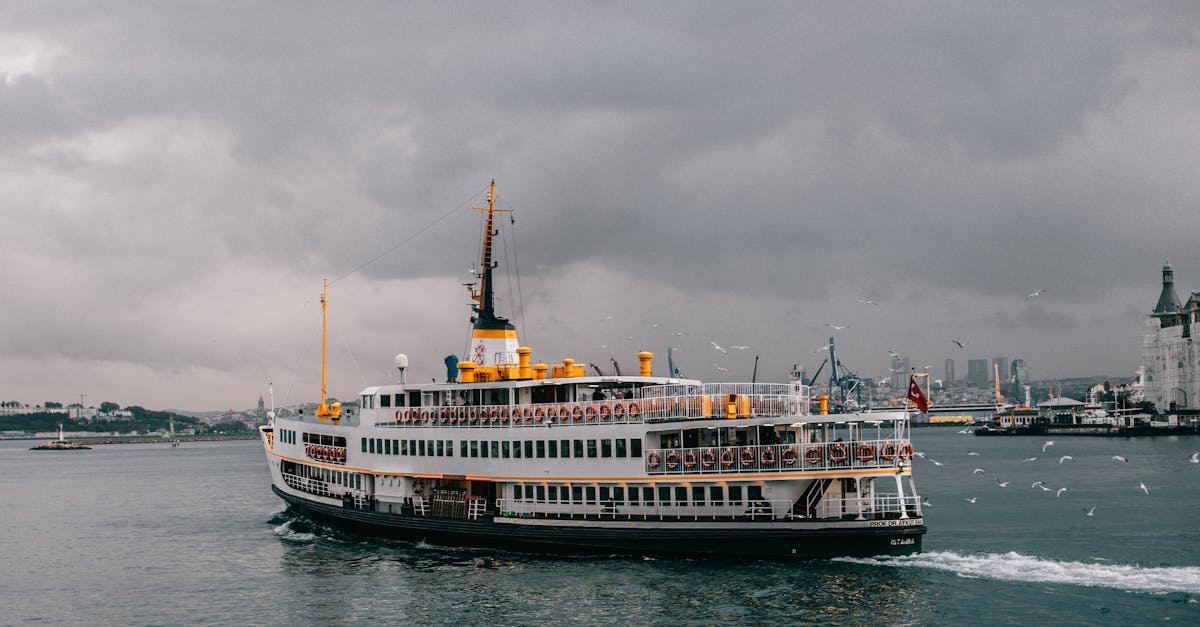 découvrez le bosphore à travers une croisière inoubliable, où les paysages époustouflants d'istanbul se dévoilent devant vous. admirez les palais historiques, les mosquées majestueuses et les ponts impressionnants tout en profitant d'une ambiance relaxante sur l'eau.
