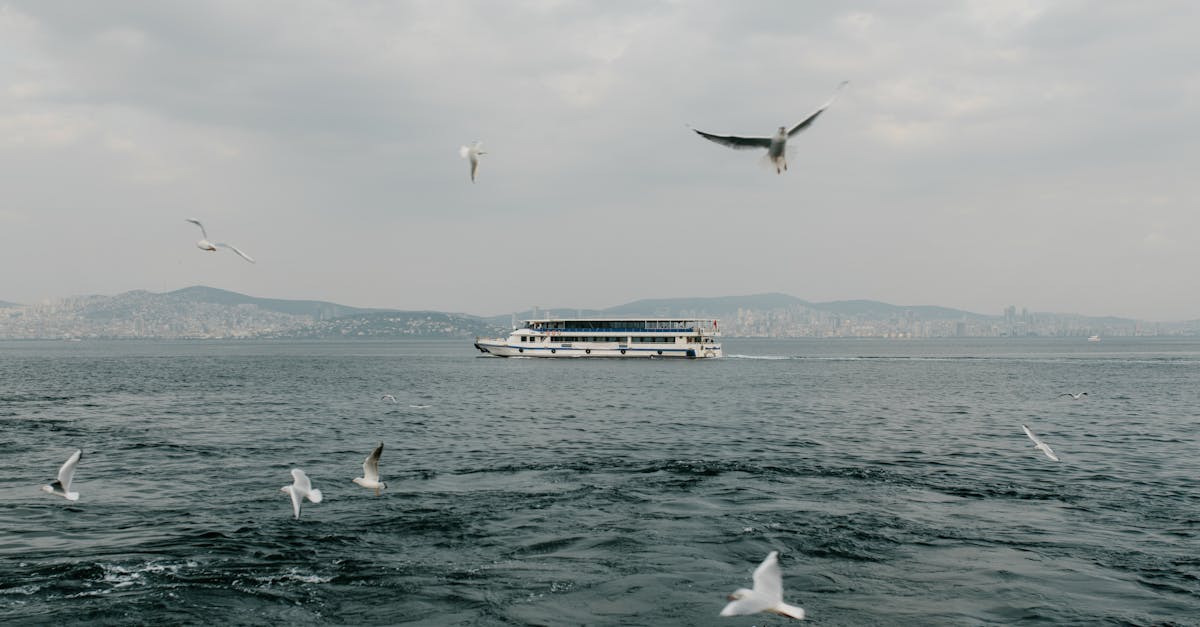découvrez la magie d'une croisière sur le bosphore, où l'histoire rencontre la beauté naturelle. admirez les palais majestueux, les mosquées historiques et les paysages enchanteurs tout en voguant entre l'europe et l'asie. une expérience inoubliable à ne pas manquer !
