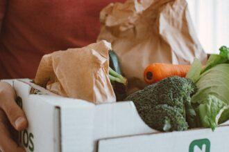 découvrez tout ce qu'il faut savoir sur l'allergie au brocoli : symptômes, causes, traitements et conseils pour gérer cette allergie alimentaire. protégez votre santé en vous informant sur les alternatives et en identifiant les aliments à éviter.