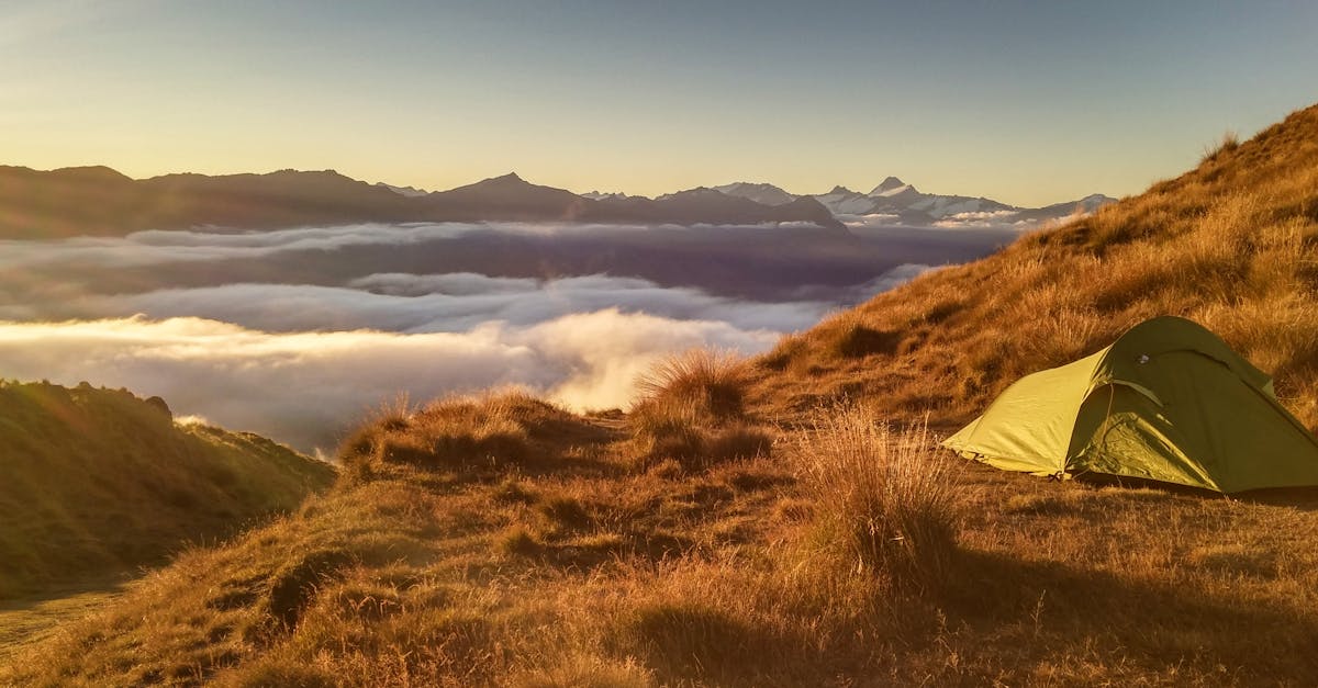 découvrez le plaisir du camping en pleine nature ! profitez d'une escapade en plein air, d'activités en famille ou entre amis, et ressentez la liberté d'explorer des paysages magnifiques. que vous soyez débutant ou passionné, notre guide vous aidera à choisir le meilleur emplacement et à vivre une expérience inoubliable.