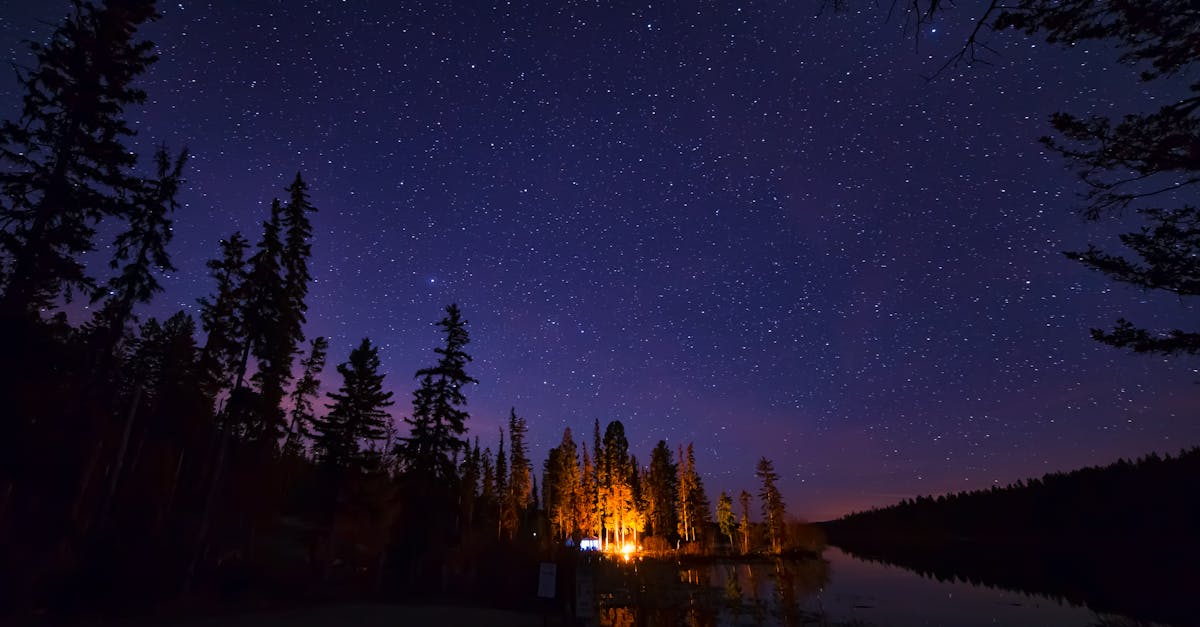 découvrez les plaisirs du camping en pleine nature ! profitez d'expériences uniques en extérieur, des conseils pour choisir votre emplacement idéal et des activités pour toute la famille. évadez-vous au cœur des grands espaces et vivez des moments inoubliables au camping.