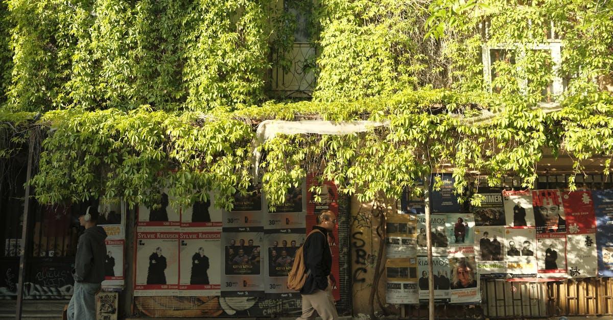 découvrez cihangir, un quartier charmant de istanbul, célèbre pour ses rues pittoresques, ses cafés animés et son ambiance artistique. explorez ses galeries d'art, ses boutiques uniques et profitez de vues imprenables sur le bosphore. une visite incontournable pour s'imprégner de l'authenticité et de la culture turque.