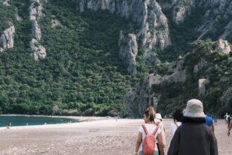 découvrez çıralı, un magnifique village côtier en turquie, réputé pour ses plages immaculées et ses paysages naturels époustouflants. plongez dans l'histoire ancienne, explorez les ruines de l'olympos voisin et profitez d'une escapade paisible au bord de la mer méditerranée.