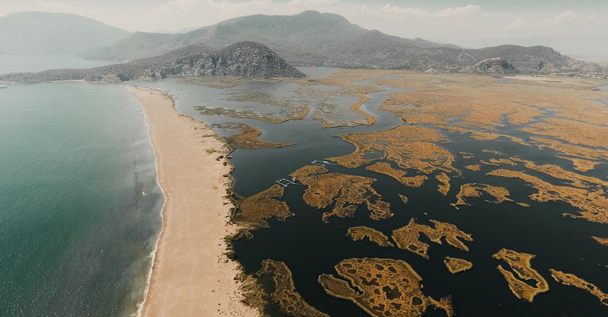 découvrez dalyan, une charmante destination en turquie, célèbre pour ses plages magnifiques, ses paysages naturels époustouflants et son riche patrimoine culturel. explorez les célèbres tombes lyciennes, profitez d'une croisière sur le fleuve dalyan et détendez-vous dans les eaux thermales de caunos.