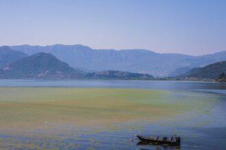 découvrez dalyan, une destination enchanteresse en turquie, célèbre pour ses magnifiques paysages, ses sites historiques, et ses plages idylliques. plongez dans la culture locale, explorez les anciennes tombes lyciennes et laissez-vous séduire par les eaux thermales et les paysages naturels à couper le souffle.