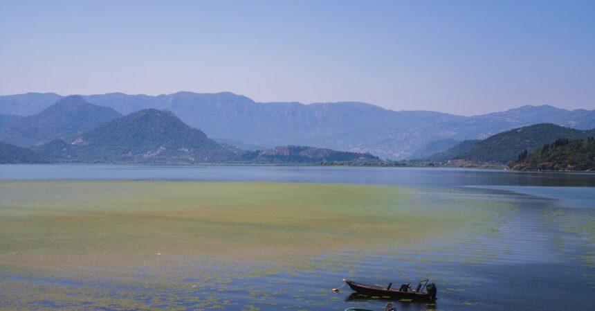 découvrez dalyan, une destination enchanteresse en turquie, célèbre pour ses magnifiques paysages, ses sites historiques, et ses plages idylliques. plongez dans la culture locale, explorez les anciennes tombes lyciennes et laissez-vous séduire par les eaux thermales et les paysages naturels à couper le souffle.