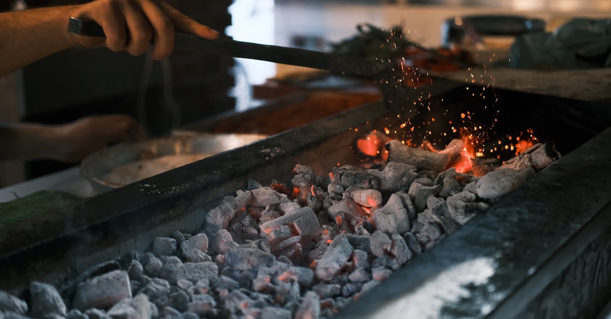 découvrez diyarbakir, une ville riche en histoire et culture au cœur de la turquie. explorez ses impressionnantes murailles médiévales, ses sites archéologiques et savourez la délicieuse cuisine locale. un véritable voyage au cœur des traditions et de la diversité.