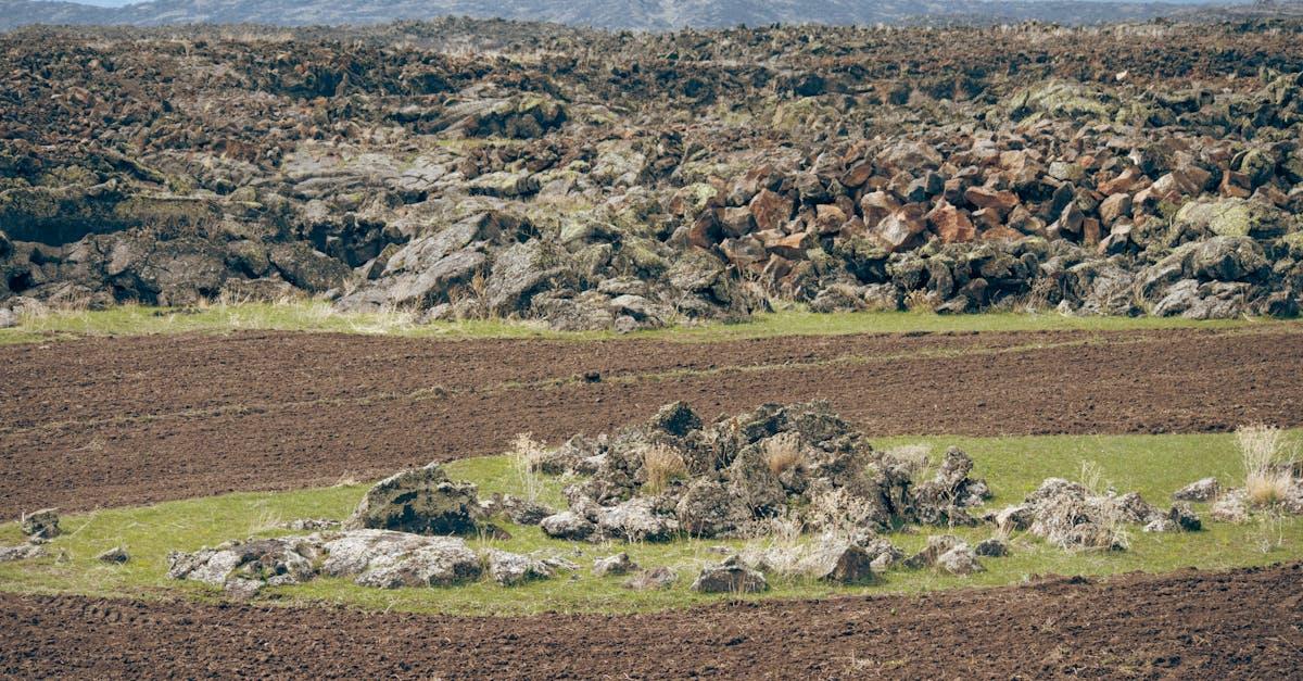 découvrez doğubayazıt, une ville fascinante en turquie, célèbre pour son riche patrimoine culturel, ses paysages à couper le souffle et sa proximité avec les merveilles naturelles. plongez dans l'histoire, la gastronomie locale et explorez les trésors architecturaux de cette destination unique.