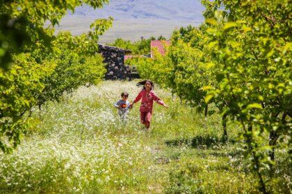 découvrez doğubayazıt, une ville fascinante de turquie, où l'histoire rencontre la beauté naturelle. explorez ses paysages époustouflants, ses monuments historiques et la richesse de sa culture traditionnelle.