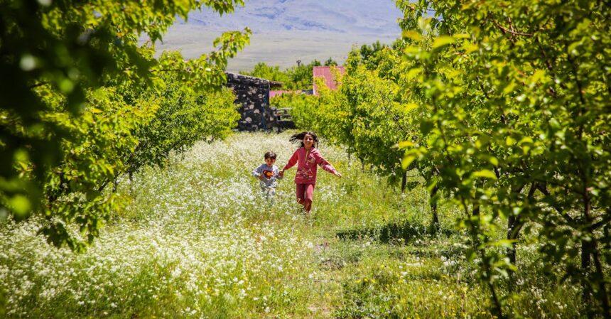 découvrez doğubayazıt, une ville fascinante de turquie, où l'histoire rencontre la beauté naturelle. explorez ses paysages époustouflants, ses monuments historiques et la richesse de sa culture traditionnelle.