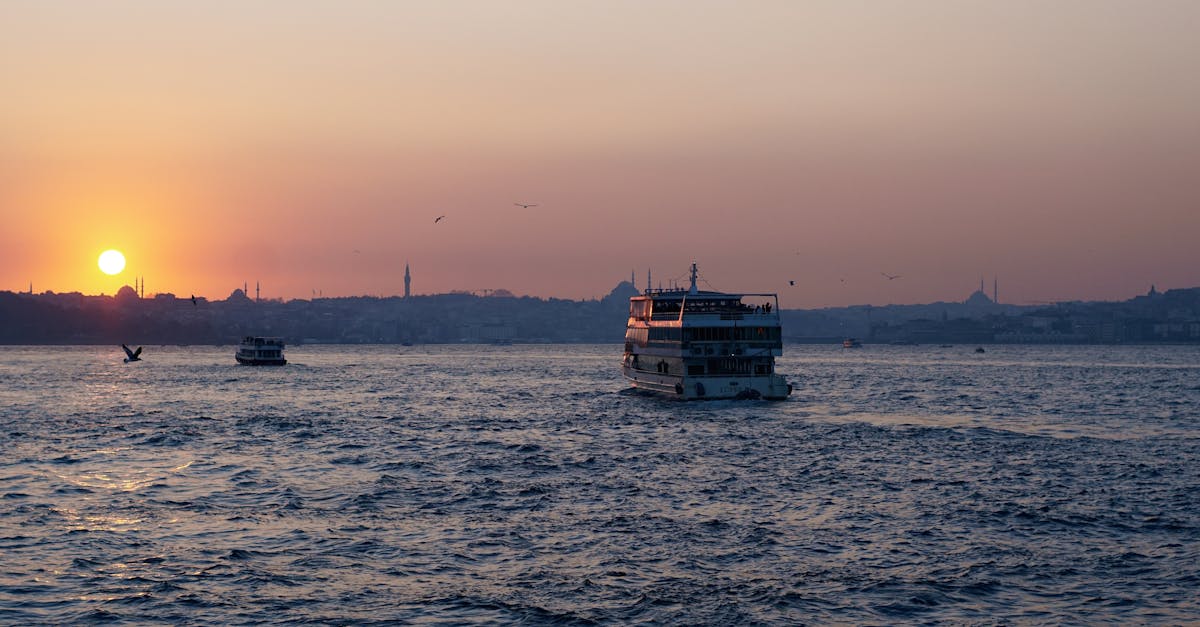 découvrez l'univers des ferryboats, ces bateaux qui relient les rives et facilitent vos traversées sur l'eau. explorez les différentes destinations, les services offerts et les astuces pour un voyage agréable à bord de ces embarcations emblématiques.