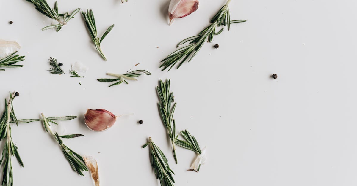découvrez tout ce qu'il faut savoir sur l'allergie au poivre vert : symptômes, causes, conseils pratiques et traitements pour mieux gérer cette allergie saisonnière et améliorer votre qualité de vie.