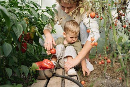 découvrez les symptômes et les causes de l'allergie au poivre vert, ainsi que des conseils pratiques pour gérer cette condition. renseignez-vous sur les alternatives alimentaires et les précautions à prendre pour éviter les réactions allergiques.