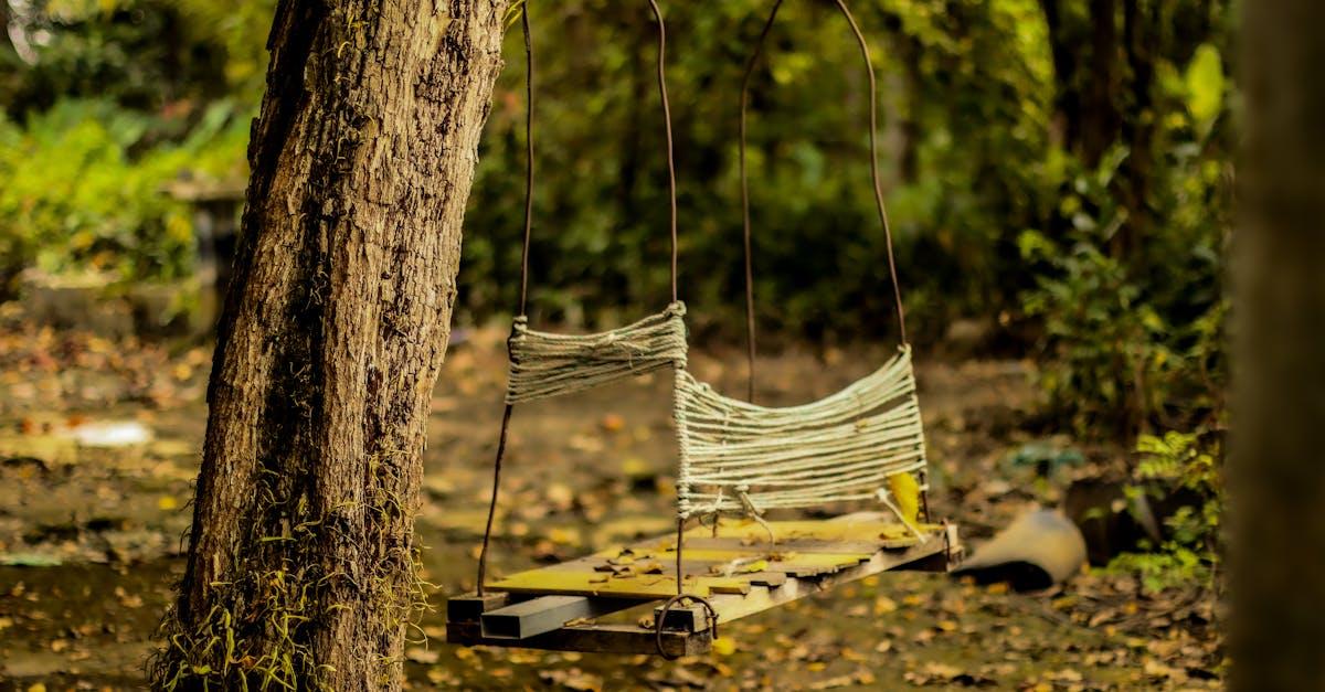 découvrez le parc gülhane, un oasis de verdure au cœur d'istanbul. promenez-vous parmi les jardins historiques, admirez la beauté des fleurs et profitez de l'atmosphère paisible de cet ancien jardin impérial. idéal pour les familles, les amoureux de la nature et les amateurs d'histoire.
