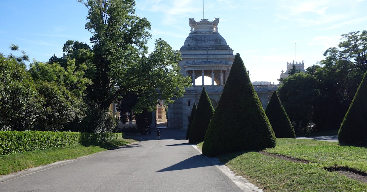 découvrez le parc gülhane, un havre de paix au cœur d'istanbul, où nature et histoire se rencontrent. profitez de ses jardins fleuris, de ses allées ombragées et de vues imprenables sur le bosphore. un lieu idéal pour se détendre et explorer la richesse culturelle de la ville.