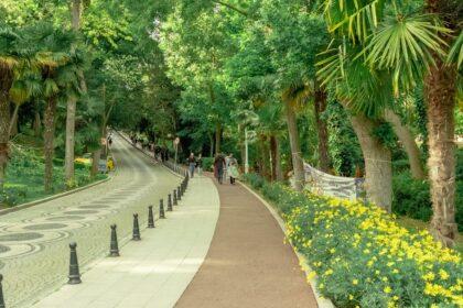 découvrez le parc gülhane, un havre de paix situé au cœur d'istanbul. avec ses magnifiques jardins, ses sentiers ombragés et ses vues imprenables sur le bosphore, c'est l'endroit idéal pour se détendre, se promener et apprécier la nature tout en explorant l'histoire riche de la ville.
